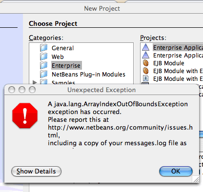 netbeans-exception.gif